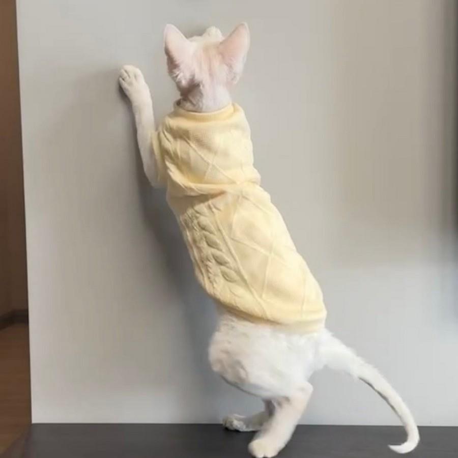 新款无毛猫衣服斯芬克斯猫德文衣服夹棉马甲秋冬款保暖