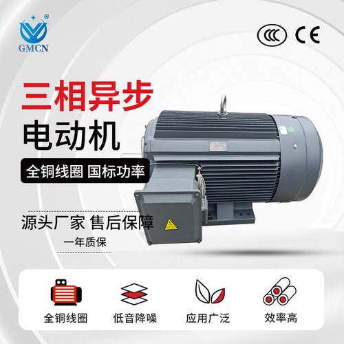 2极三相异步马达YE3-250M-2电机55W380V环保机械设备用电动机