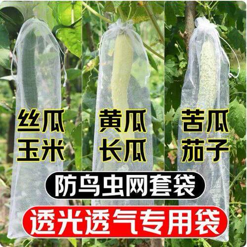 丝瓜黄瓜苦瓜套袋纱袋防虫专用网袋水果葡萄番茄枇杷瓜果保护袋子