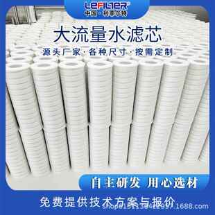 芯利菲尔 淡大流量水滤 用于海水HPFEG005化预处理 高纳污特量