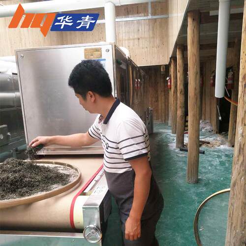 杀青机茶叶杀青机厂家供应浙江安吉白茶春茶隧道式微波不锈钢腔体