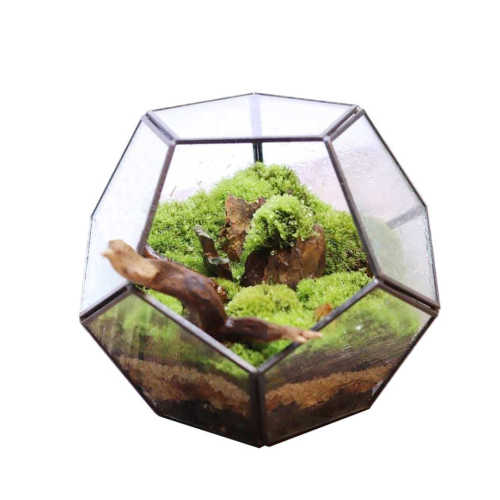 厂家直销爆款十二面体中玻璃花房绿植透明创意苔藓微景观多肉花盆