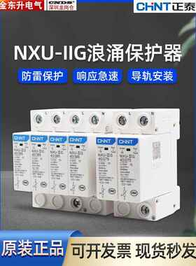 正泰浪涌保护器 NXU-II电涌防雷器 4P65KA2P40KA T2家用275V开关