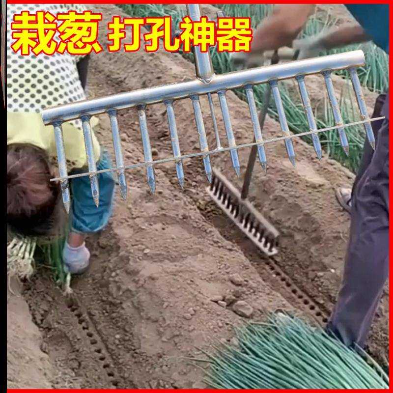 种菜苗工具种葱大葱种植叉子洋葱打眼打洞机移苗栽苗打孔器种菜