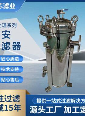 中芯滤业不锈钢大流量工业污水保安折叠滤芯式过滤器