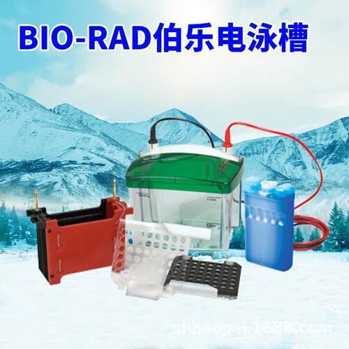 宝派I-一级美国BORAD小印型垂直电泳YCC槽电泳仪转槽现货