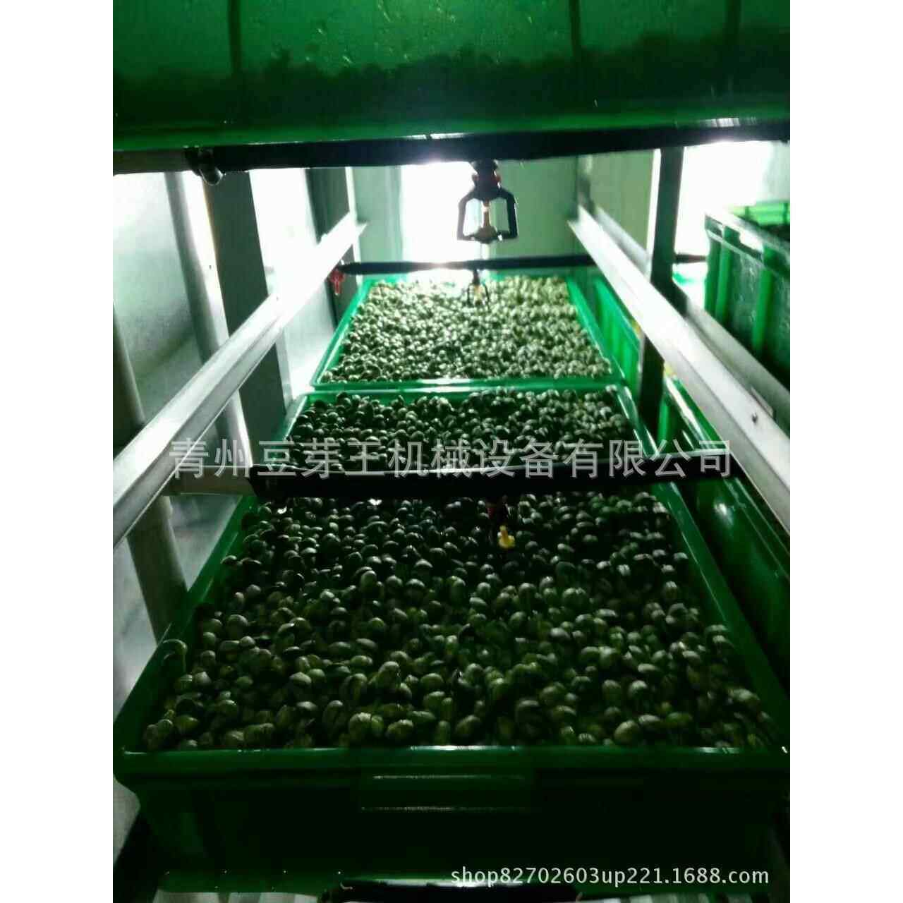 绿色长寿芽花生芽苗一体机 多用途豆芽机设备 食品豆制品加工机械