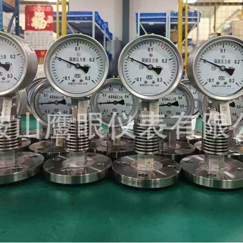 厂家直供耐震隔膜压力表 精工制作量大从优耐用 不锈钢隔膜法兰耐