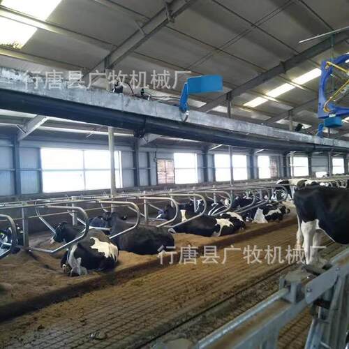 卧床厂家养殖场畜牧机械镀锌管材加厚材质单卧双卧牛卧床牧场