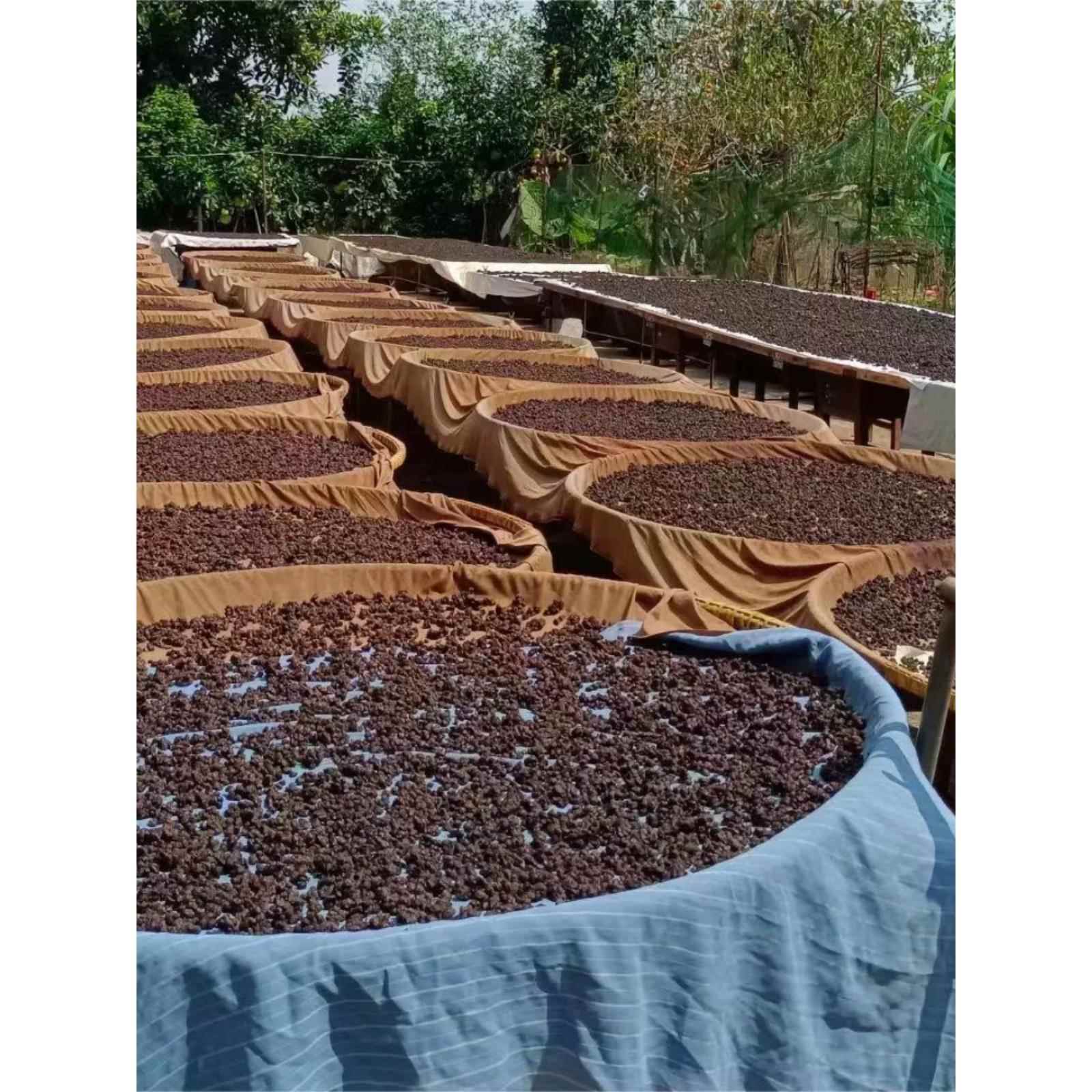 手工黑豆豉 江西特产农家古法自然发醇0添加豆豉干调味料可药用