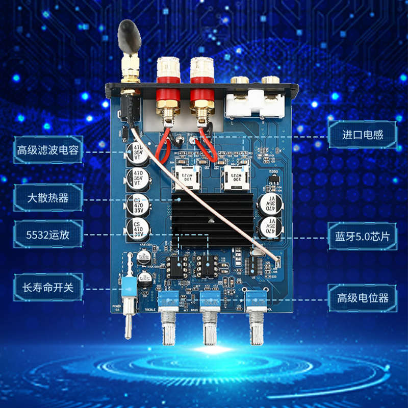 D100B 双芯TPA3116 2.0大功率保真音响家用数字带音调蓝牙5.0功放