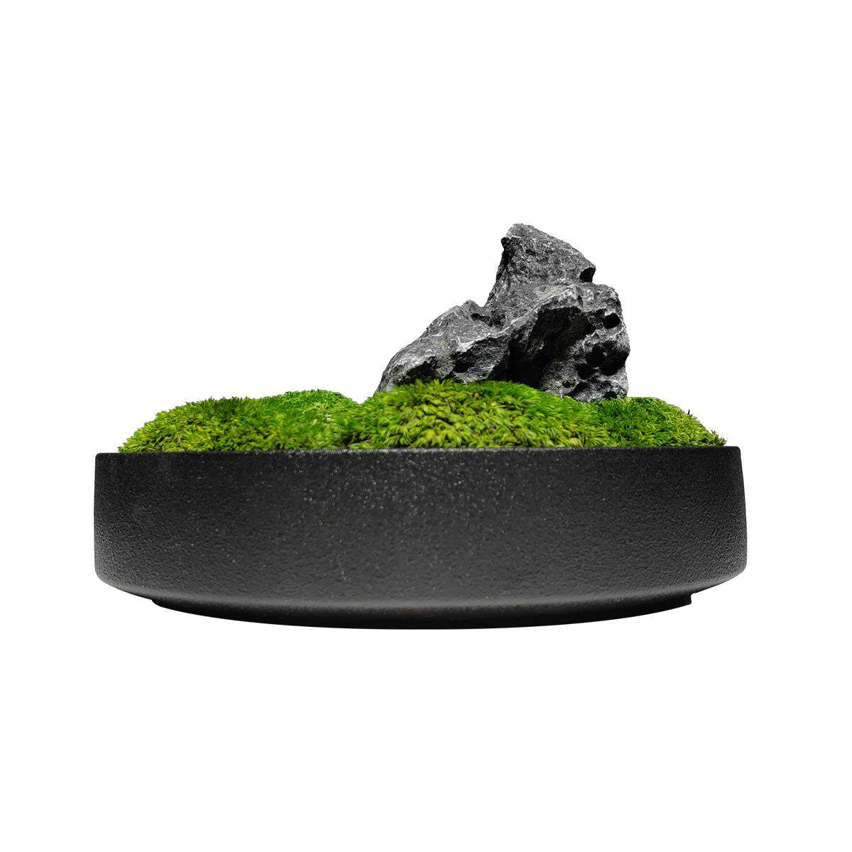 仿真青苔绿植新中式盆景摆花微景观办公桌茶室禅意摆件苔藓装饰品