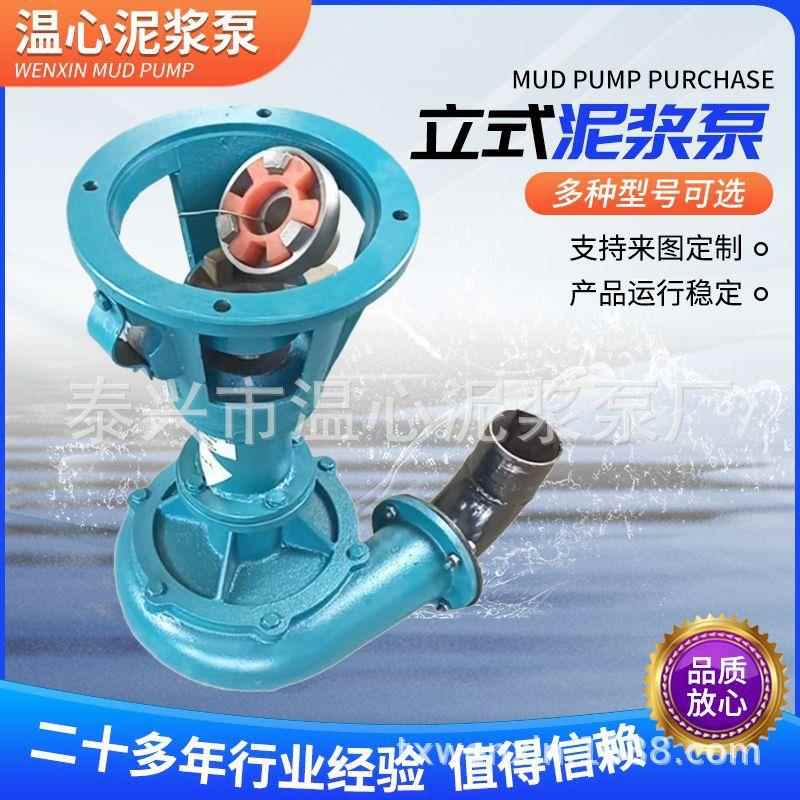 供应立式泥浆泵河道液下渣浆泵淤泥排污泵泥浆泵齿轮