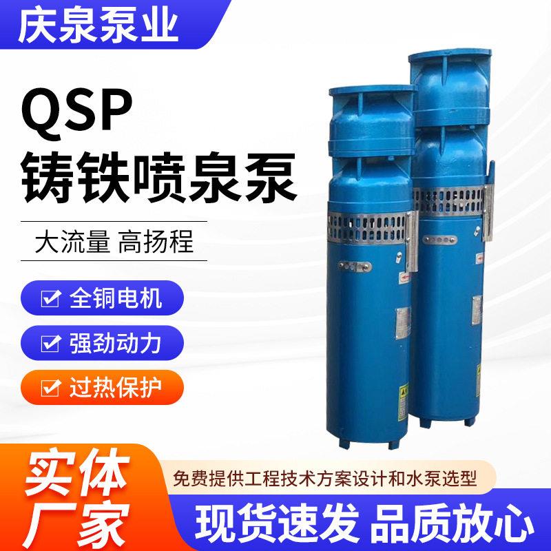 QSP喷泉泵音乐喷泉泵水浸式潜水泵电动景观池水泵铸铁QSP景观泵