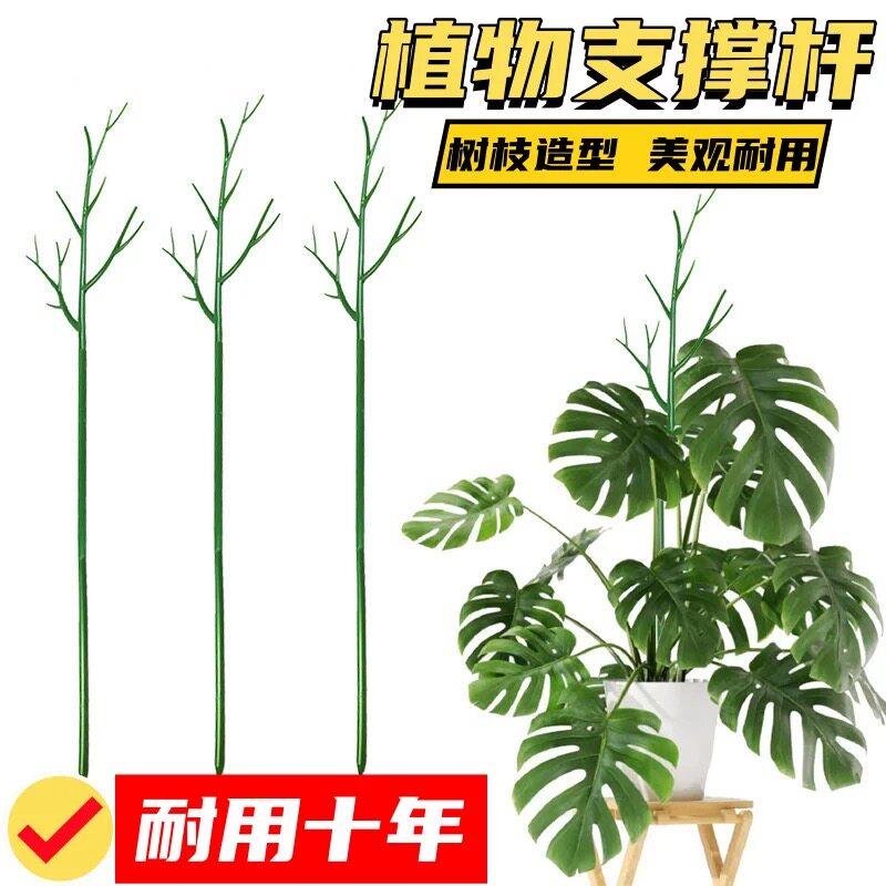 植物支撑杆树枝型防倒伏固定攀爬龟背竹支撑架园艺造型爬藤花支架