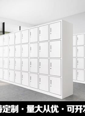 钢制防更衣柜宿舍储柜物柜身HY-GYG员工柜杂物鞋柜铁皮柜健房收纳