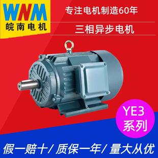 皖南YE3系列三相异步电机0.12~400WIP55纯铜线圈IE3