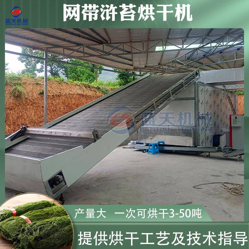 浒苔烘干机网带式食品级浒苔脱水烘干设备连续式苔条苔菜干燥机