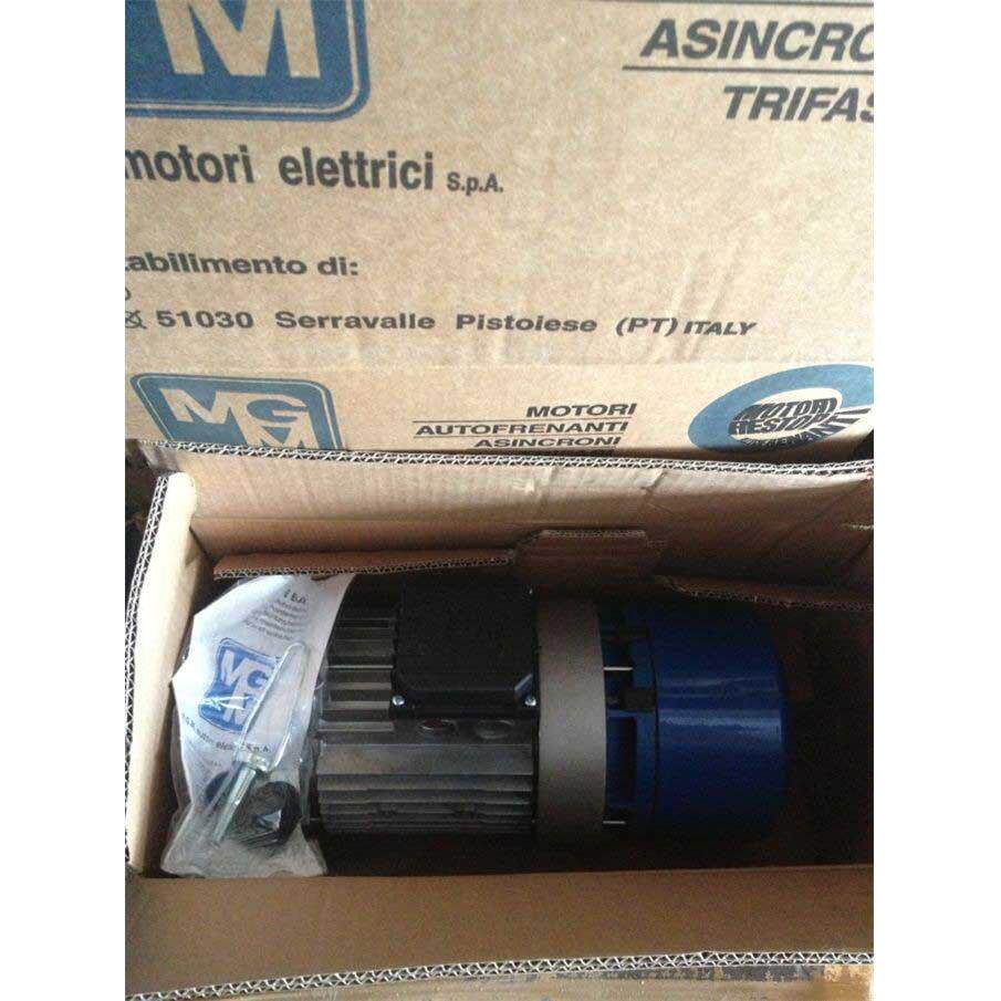 供意大利MGM刹车片 电机 线圈 意大利 MGM 刹车电机原装进