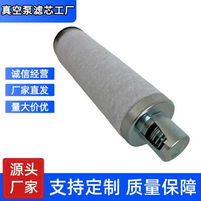 Leybold 莱宝 18973 油雾分离器 D65B 真空泵排气过滤器 滤芯