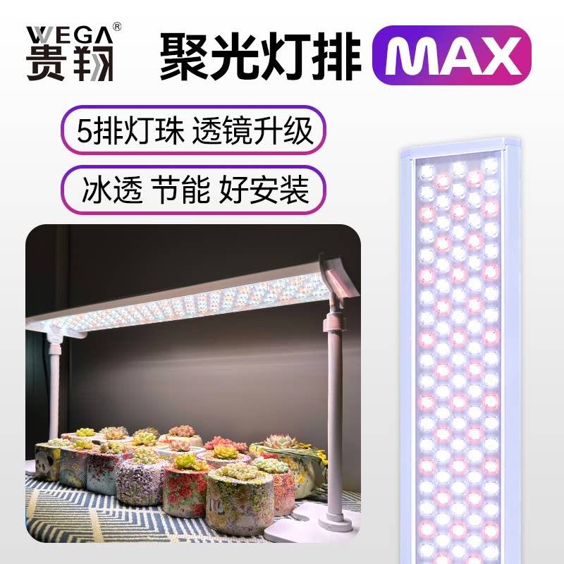 全光谱植物生长灯 多肉植物补光灯 块根龙舌兰光谱灯 智能控制植
