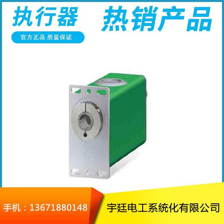 产地外贸货源意大利LIKA无刷马达编码器RD5 RD52中国区总代理