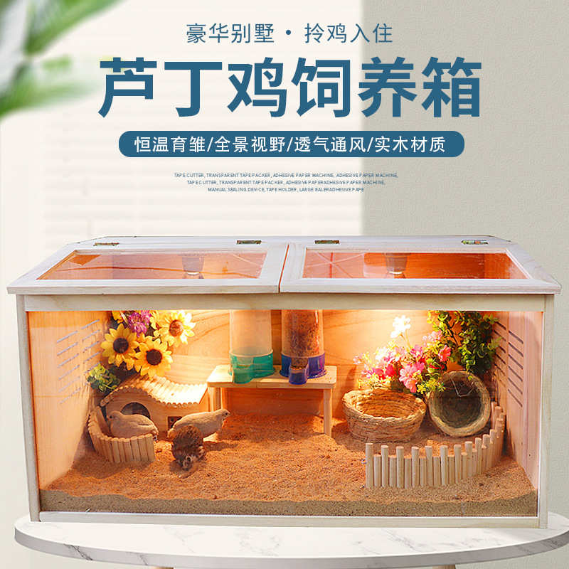 芦丁鸡饲养箱全套宠物保温专用饲养箱观赏笼养殖小鸡箱子房子笼子