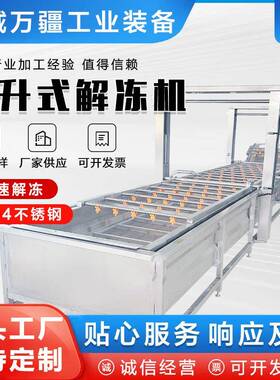 冻鱼盘恒温解冻清洗设备提升式鸡胗解冻机鸡爪鸡胸肉冻盘化冻机