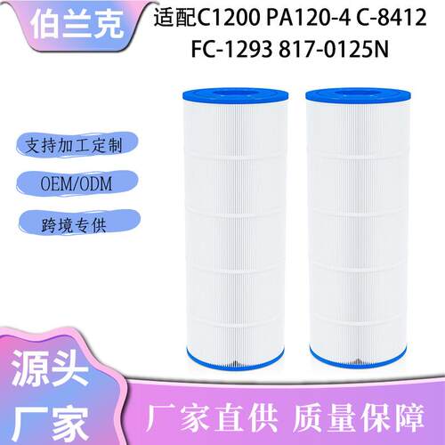 适用于C1200泳池滤芯P4A1204C-812-FC-1293817-0125N过滤器