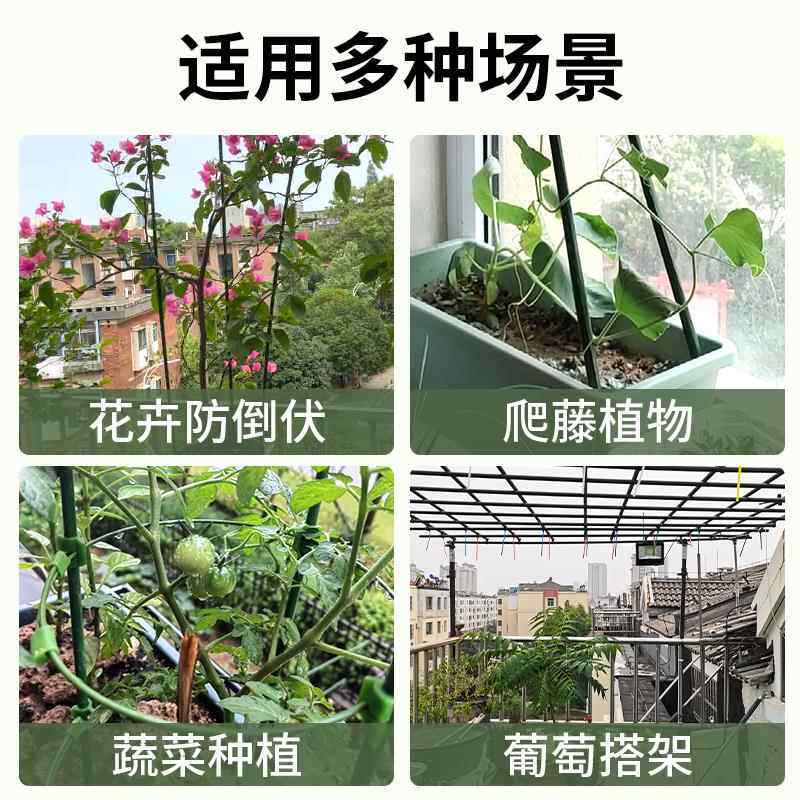 花架爬藤架葡萄黄瓜豆角架杆庭院种植月季种菜支撑杆植物棚架申恒