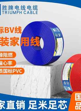 胜牌现货供应BV0.75MM单芯电线耐温70℃阻燃电缆国标PVC绝缘材质
