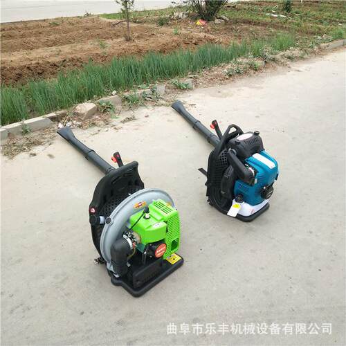 园林工程树叶吹风机 森林灭火机道路吹风机 背负式路面吹雪机厂家