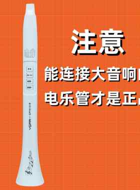 正品新款不用学就会新乐器电乐管自带蓝牙大的小刚会好唱型歌就会