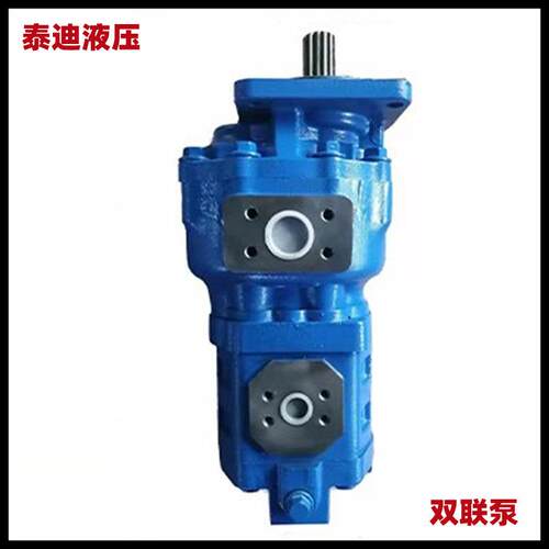 JHP3100/GJ1020-XFR双联齿轮泵常林物料号W-01-0276