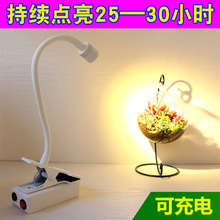 夹子式床头充电led射灯房间工作柜台简约现代无线移动电池小灯具