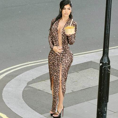 Elegant Fall Women's Leopard Print Deep V Neck Long Dress
