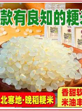 2025年新粳米大米胚芽特正级宗十月晚粳农家不抛光儿童煮粥米油多
