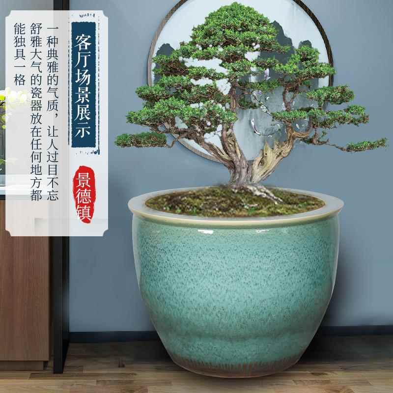 陶大种树室外YGV庭院缸荷瓷鱼花睡莲养盆招财翡翠绿老式缸特大号