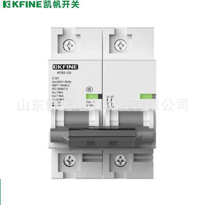 江苏大全凯帆断路器KFB3-125 2P3PD100A125A空气开关
