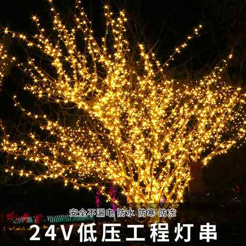 低压ed灯户外防彩水24V小彩灯串串亮IGC化满天l星节日装饰灯防水