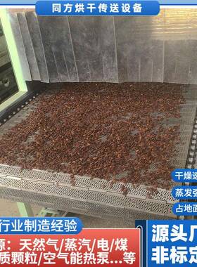 厂家供应小型链板食品干燥机 平板线瓜子花生干果热风烘干机定制
