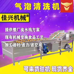 蓝莓清洗机气泡不锈钢清洗机气泡自动喷淋果蔬清洗机苹果式 全
