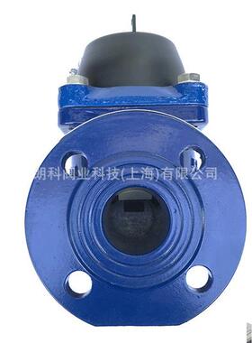 工业污水表干式可拆式冷水表防冻污水冷水表污水表DN50DN100DN300