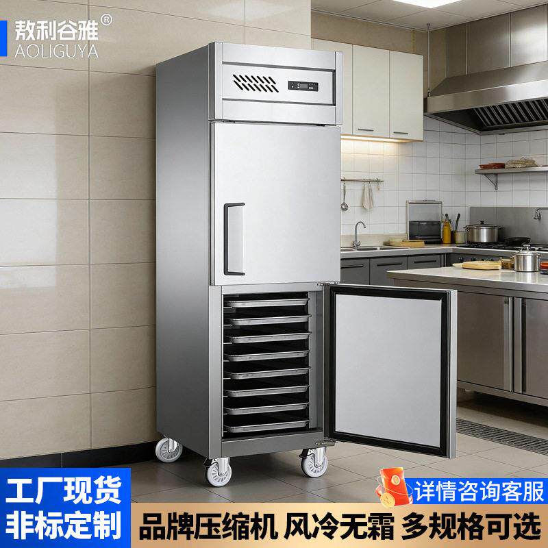 冷柜立式大容量冰柜冷藏冷冻柜急速冷冻柜商用餐饮厨房插盘保鲜柜