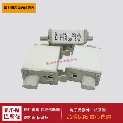 熔断器170M0223 170M0224 170M0225 170M0226 170M0259 170M0260