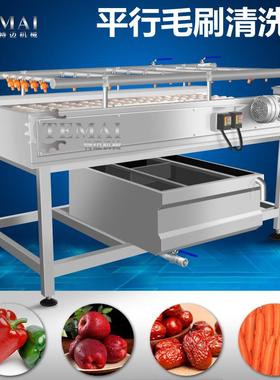 专业产平行生毛刷清洗机蚝海蛎子生泥去沙清洗机器洗89973贝机厂