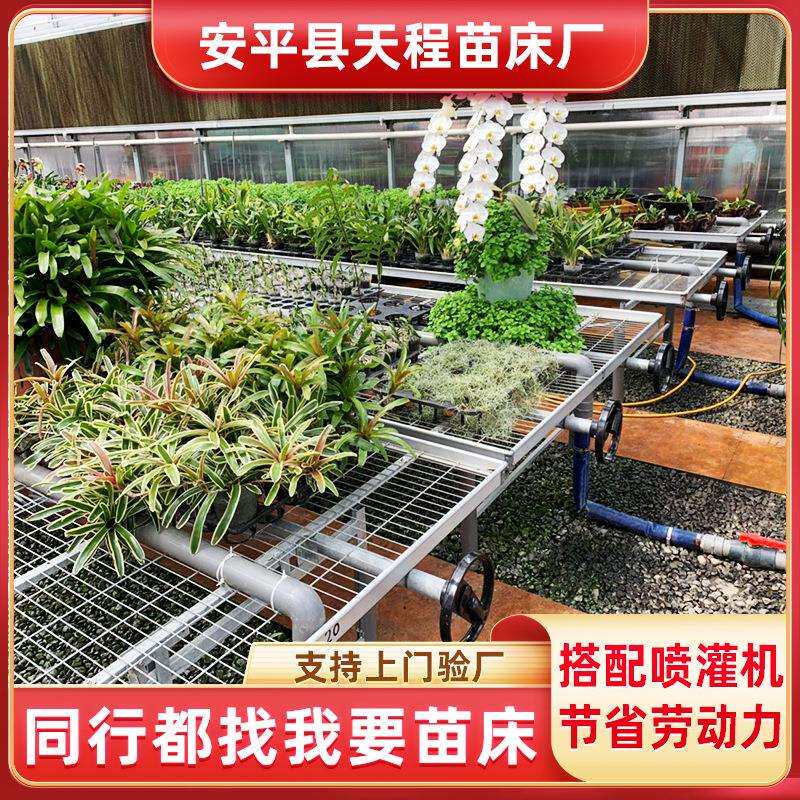 果蔬育苗大棚温室花卉育苗铝合金边框热镀锌育苗床种植架移动苗
