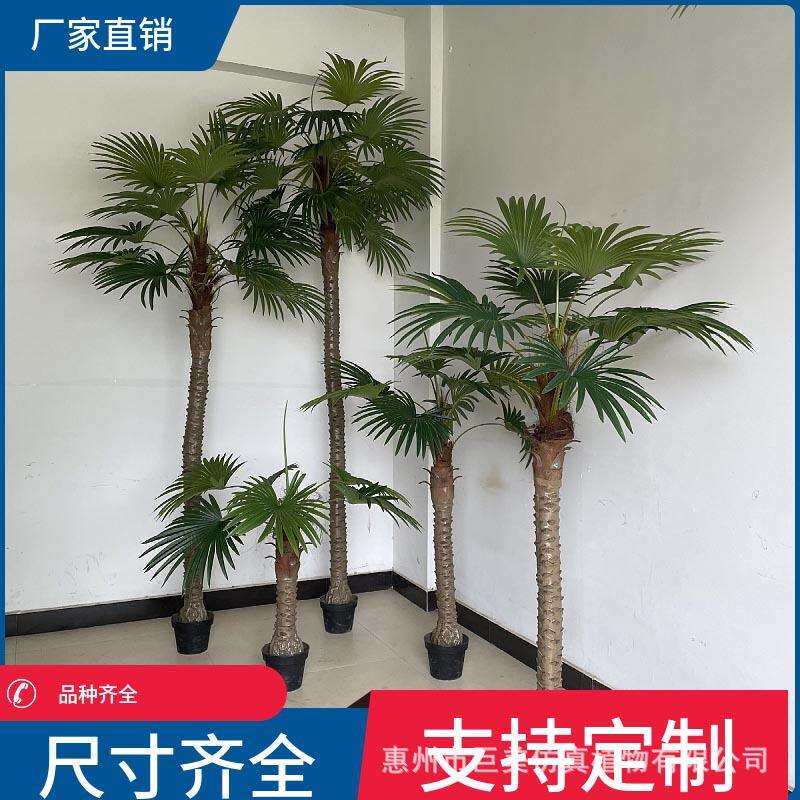仿真扇葵树热带假棕榈树蒲葵唐棕葵老人葵酒店室内装饰造景