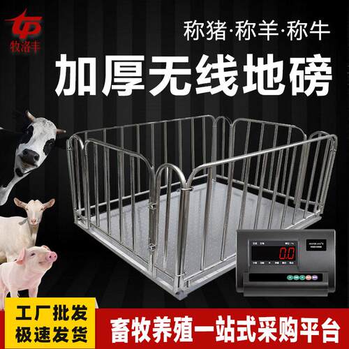 地磅秤称母猪秤围栏防抖动3吨-5吨工业y养殖小型电子地磅称牧洛丰