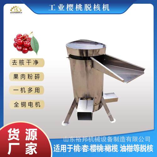 不锈钢杨梅去核榨汁机配套设备厂家直售樱桃油柑脱核粉碎机